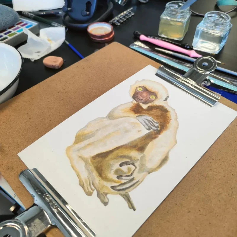 Fotografía mesa de trabajo