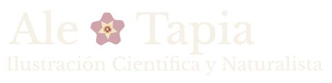 Logo de Ale Tapia Ilustración Científica y Naturalista