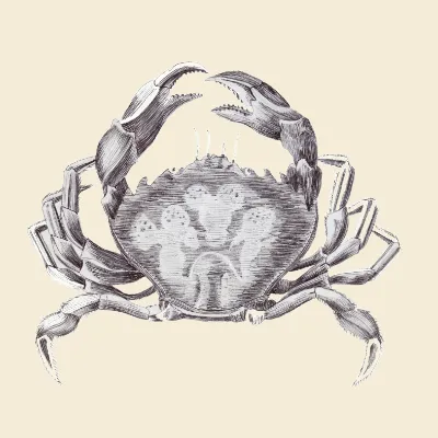 Ilustración Galería Animalia