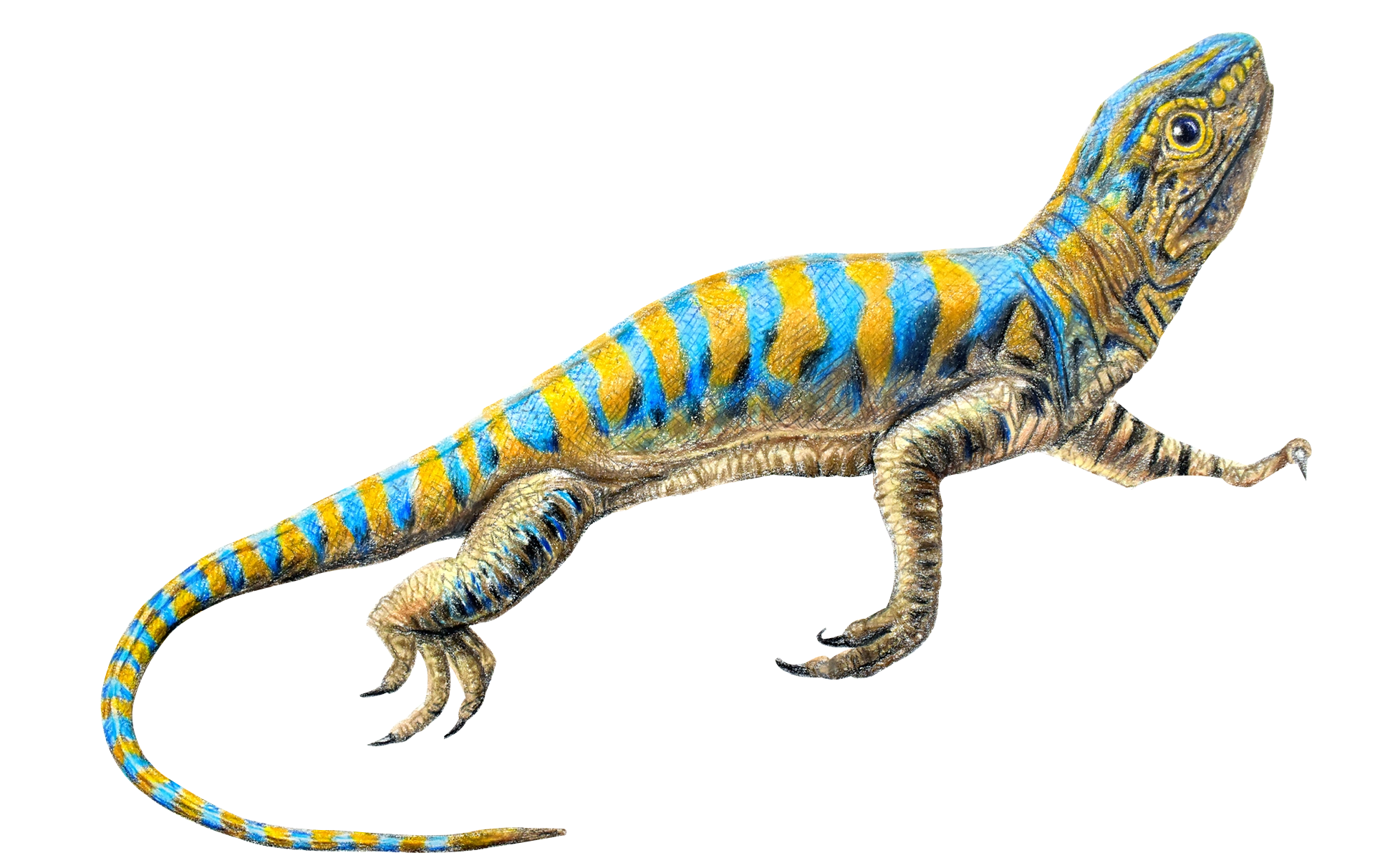 Ilustración reptil